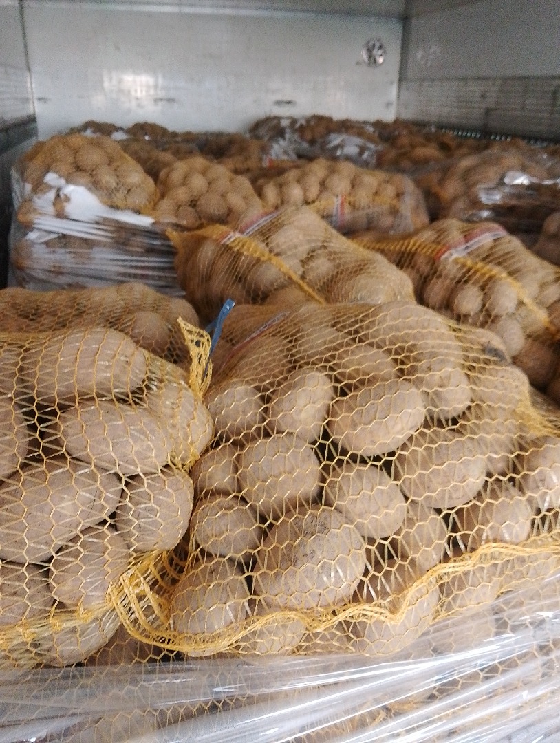I will sell yellow and red edible potatoes in wholesale quantities with delivery