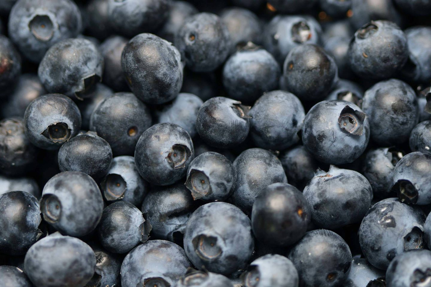 Hello, I have for sale forest berries, the harvest will take place in 2025, I invite you to cooperate, larger ones are best with arrival in Sopotnia, small