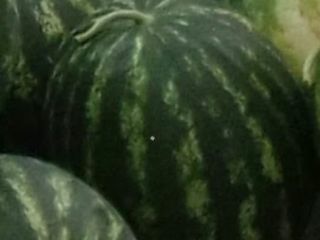 Ecology product from Azerbaijan