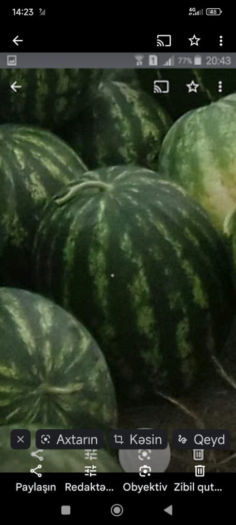 Ecology product from Azerbaijan