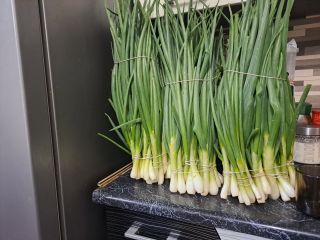 I will sell finger chives from the ground. Transport