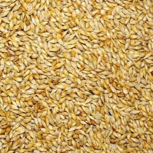 We require a large order of animal feed barley and are willing to purchase 100,000 tons