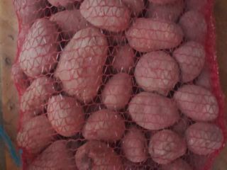 I will sell edible potatoes of the following varieties: