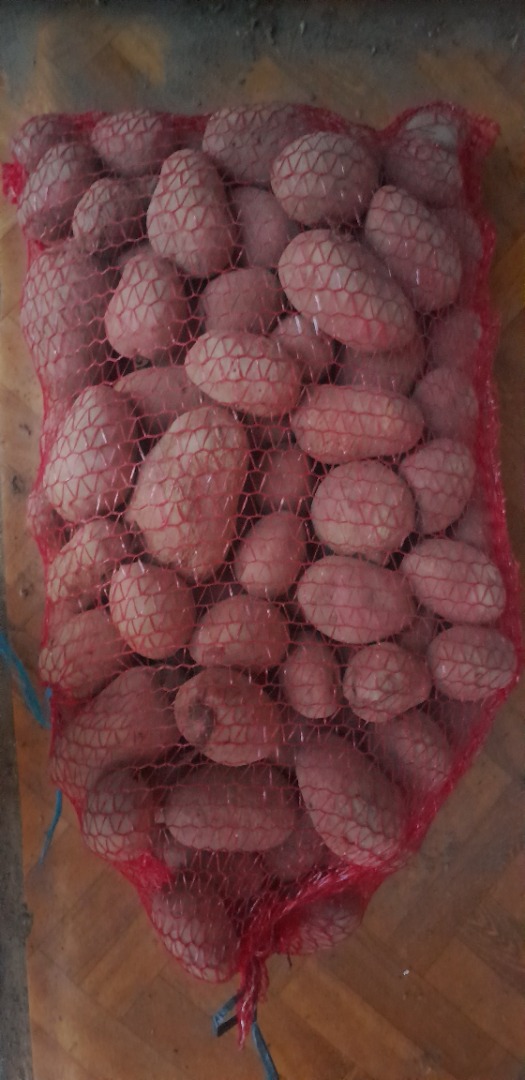 I will sell edible potatoes of the following varieties: Ignacy, Owacja, Tajfun, Ricarda