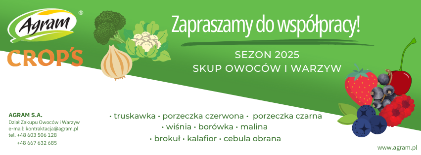 Chłodnia Agram SA in Lublin will buy raspberry rhubarb for freezing