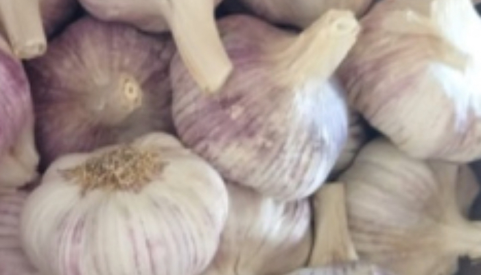 Hello, I will buy Polish spring garlic in small quantities