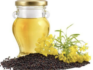 OST WEST Ltd. – A reliable partner in agricultural