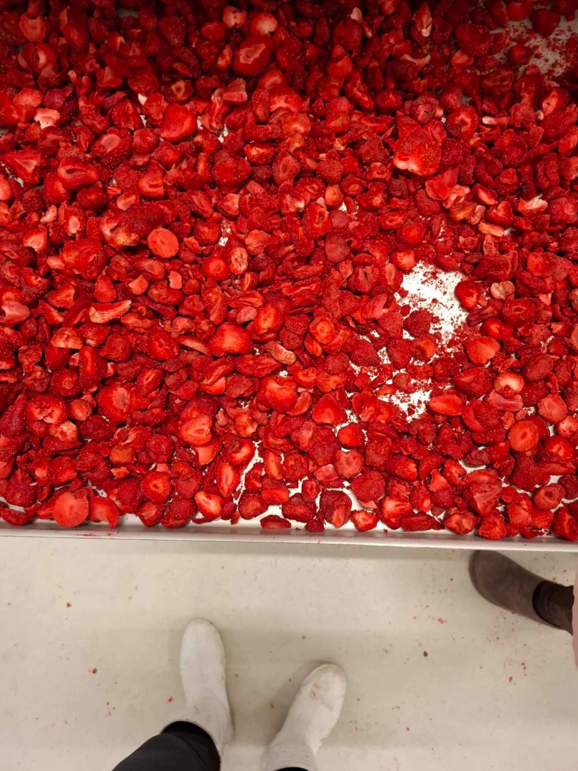 Dear Sirs, We are pleased to present the offer of our company - Fruitful Investment, which is the largest producer of freeze-dried food in Poland and the third