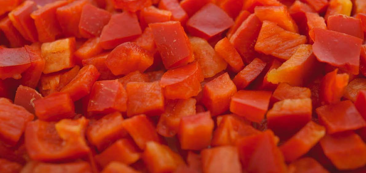 We sell FROZEN RED PEPPER CUBE 10X10 We have around 300 t in cardboard (inside with nylon) of 10 kg Price is negotiable