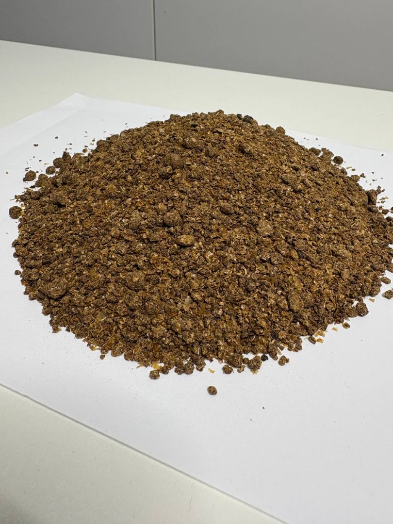 DDGS Corn MOLASSED - high-protein feed! As a manufacturer of corn DDGS, we offer attractive commercial terms and the highest quality feed! ✅ Full truckload