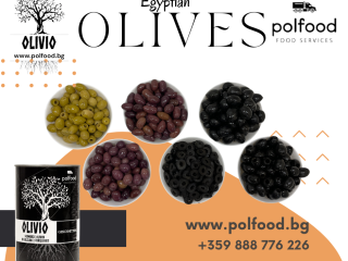 Premium Quality Olives – Wholesale Available in Bulgaria! Location: