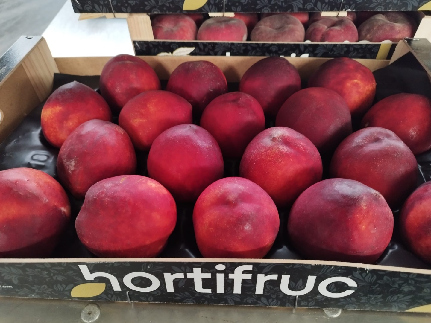 At MWT, we simplify your sourcing process: 5kg export cartons & wood box Fast logistics across Europe Season: April to July Direct from certified farms in