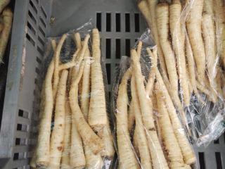 First class parsley root is available continuously, in 10