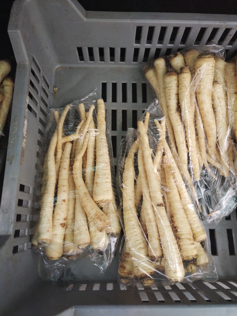 First class parsley root is available continuously, in 10 kg/# packages