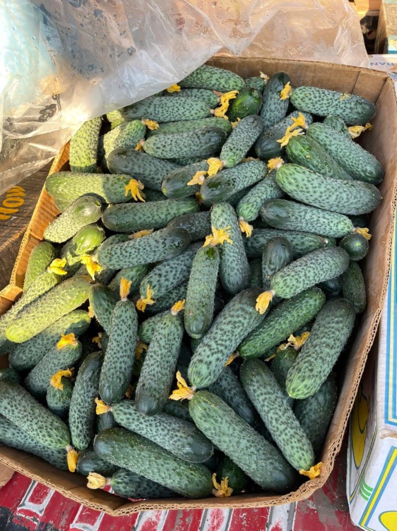 Alrob Distribution 2020 SRL sells Romanian cucumbers, and more, in large quantities