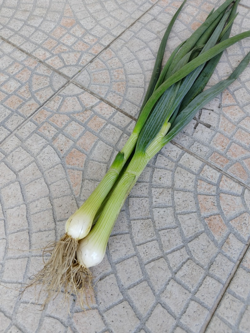 Onion with chives