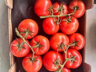 Hello, We provide consistent quality and yield throughout the