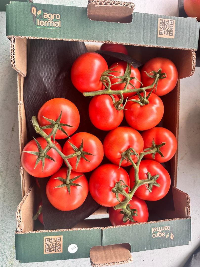 Hello, We provide consistent quality and yield throughout the year with modern hydroponic farming techniques in Turkey