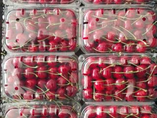 Sweet cherries wholesale from Uzbekistan, available in different varieties