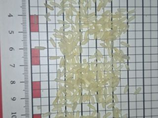 I will sell Rice parabola. imp. Myanmar. B/B package