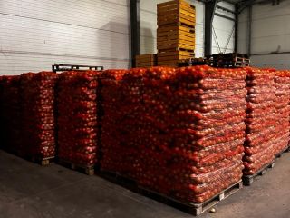 I will sell yellow onions, 15 kg bags, caliber