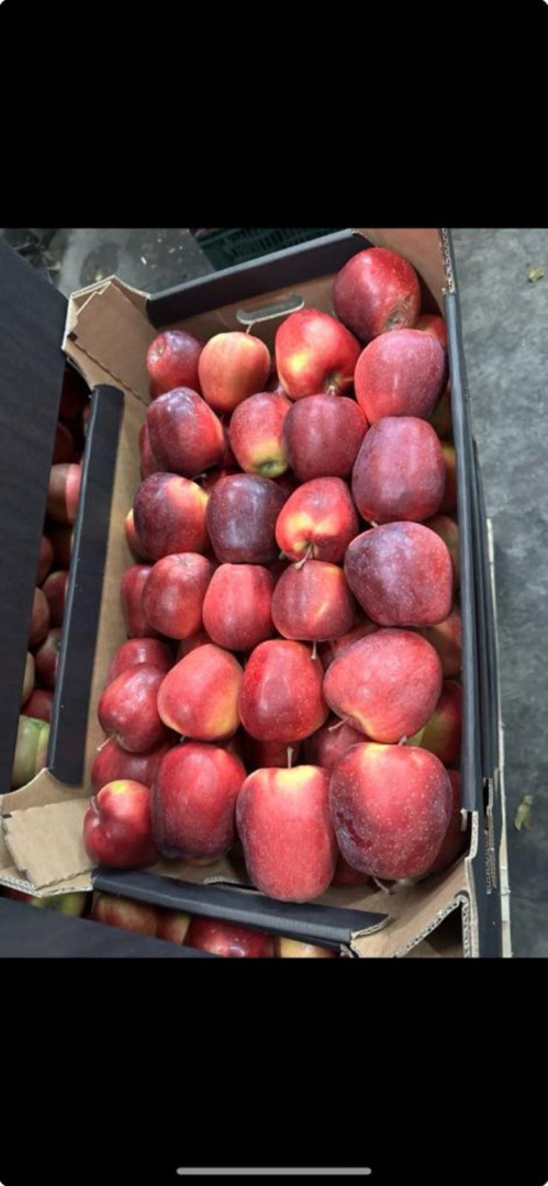 Hello, we offer apples from Poland packed in 13 kg boxes, all varieties available on the market in high quality, we invite you to cooperate + [phone number]