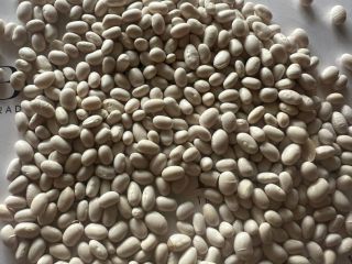 White Beans | High Quality, Ready for Export We