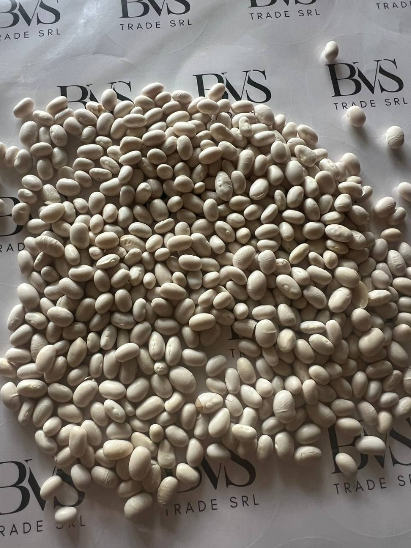 White Beans | High Quality, Ready for Export We offer white beans from the 2024 harvest