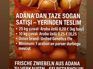 We sell Fresh Onions from Adana Türkiye For self