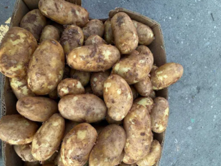 fresh potatoes from Romania +[phone number]
