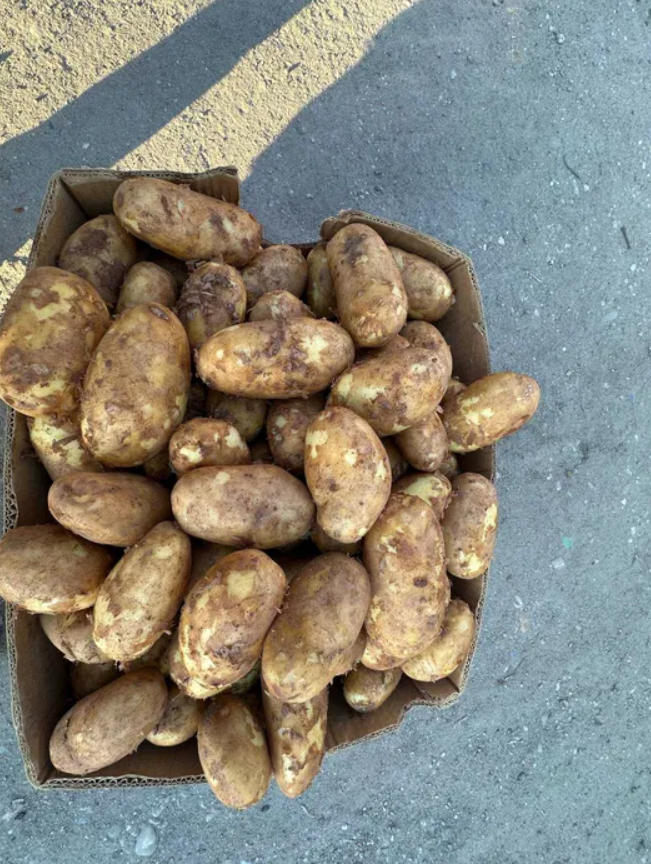 fresh potatoes from Romania +[phone number]