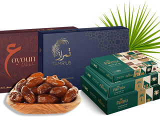 Founded in 2019, Ben Younes Entreposage & Export is
