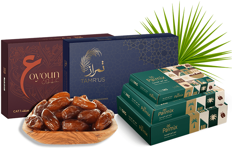 Founded in 2019, Ben Younes Entreposage & Export is a fully export-oriented company specialized in the packaging and export of premium Tunisian dates