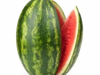 Moroccan Watermelon – Naturally Sweeter, Carefully Managed Grown under