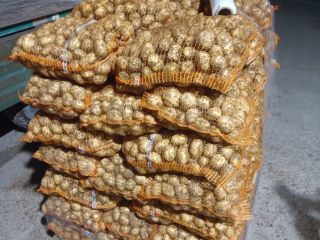 I will sell young Polish potatoes. More information in