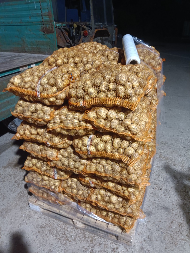 I will sell young Polish potatoes