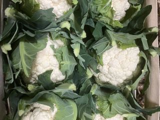 Hello, we deliver fresh vegetables and fruits from Poland