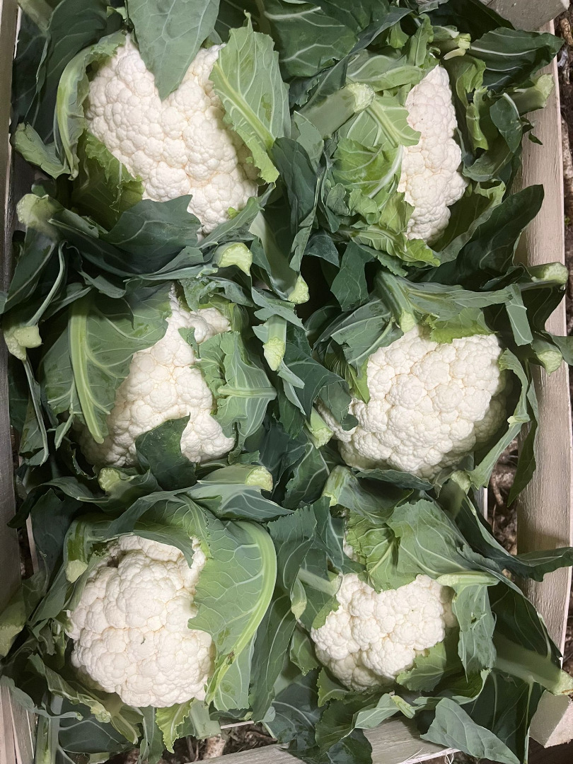 Hello, we deliver fresh vegetables and fruits from Poland throughout Hungary