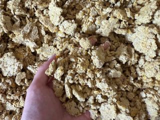 Soy cake (GMO) in big bags – FCA Company: