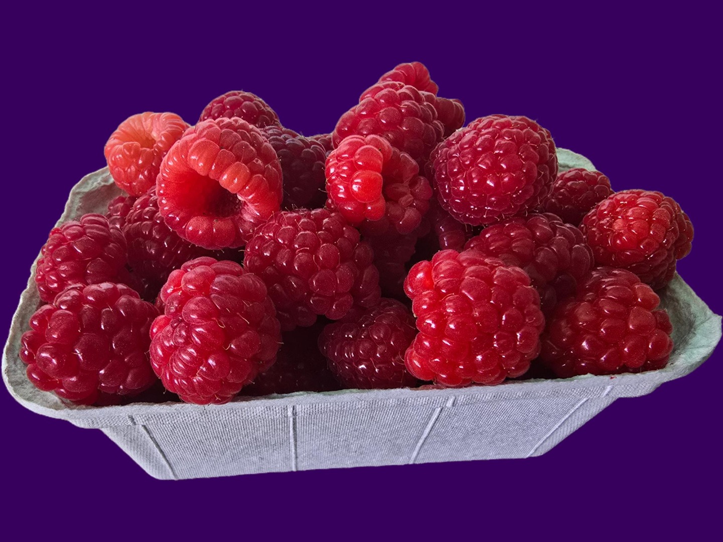 Hello, we are selling ENROSADIRA raspberries from our tunnel-grown raspberry plantation