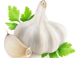 ✅ Premium Egyptian Dry Garlic for Export By AL-WALEED