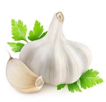 ✅ Premium Egyptian Dry Garlic for Export By AL-WALEED for Import & Export ✅ Uniform size – strong white cloves ✅ Properly dried and preserved for long-distance