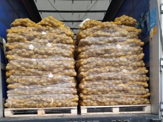 I'm selling young and old edible potatoes with PHYTO