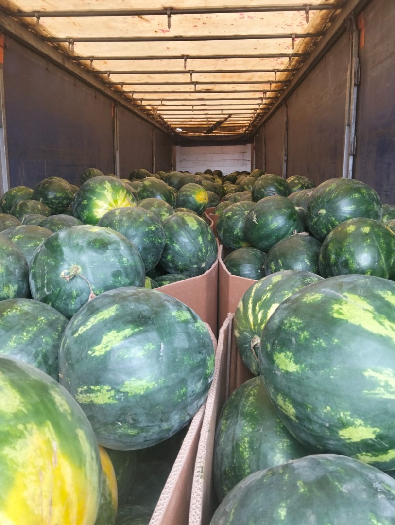 The Romanian company CIOCAN FLOPAT PROMARK SRL, with years of experience in the market, offers watermelons and other vegetables for sale with a 2-3 day