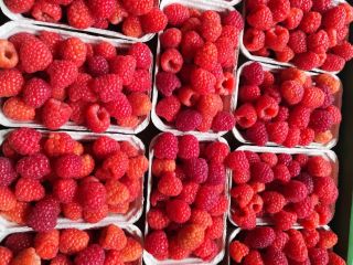Hello everyone. I will buy large quantities of Raspberry.