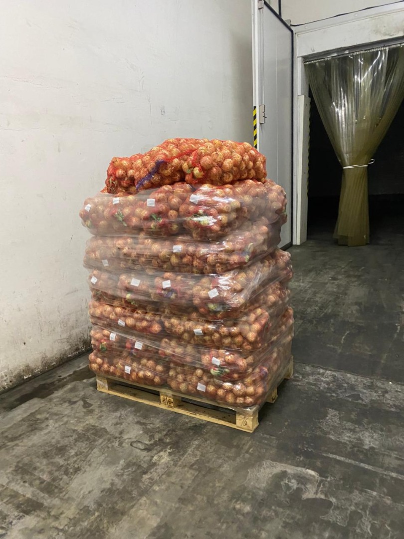 We sell onions, wholesale from Ukraine