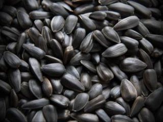 We sell sunflower with basic indicators, oil content 45%,