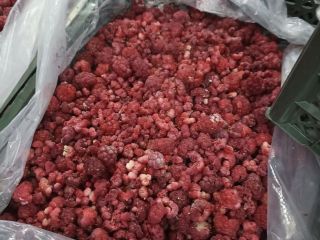 Свежий вкусный абрикос урюк