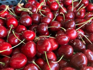 I will sell black cherries, 20 boxes of 5