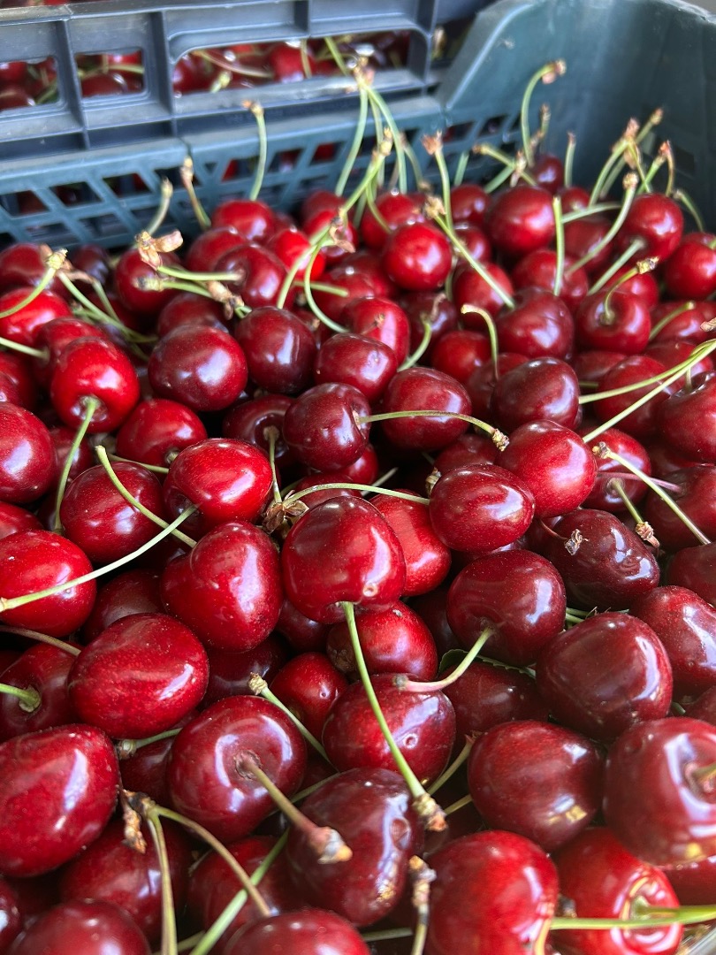 I will sell black cherries, 20 boxes of 5 kg each, Polish cherry, large, very healthy and sweet, not sprayed, organic